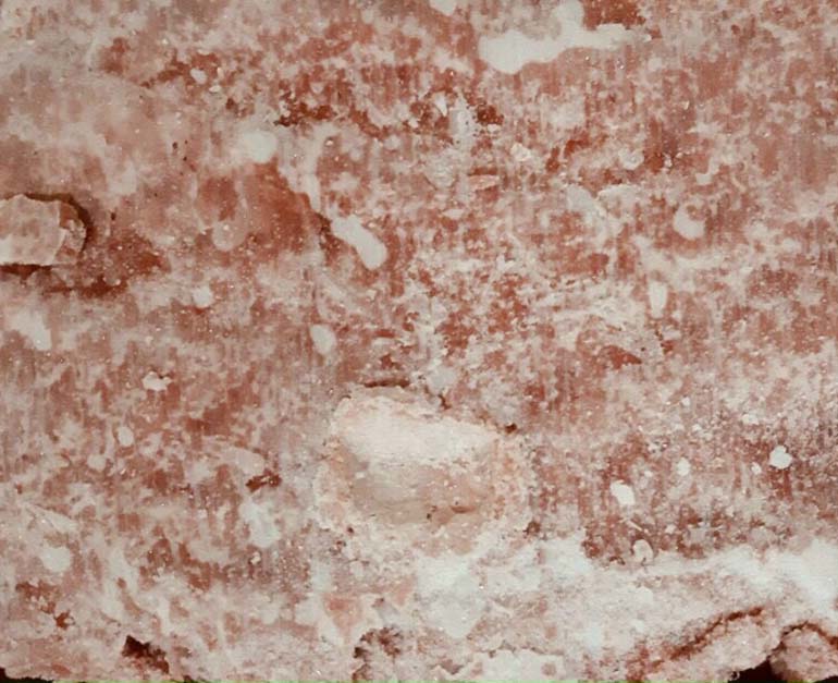 Thịt gà xay đông lạnh nhập khẩu Brazil - Thực Phẩm Phúc Đạt - Công Ty TNHH Xuất Nhập Khẩu Quốc Tế Phúc Đạt